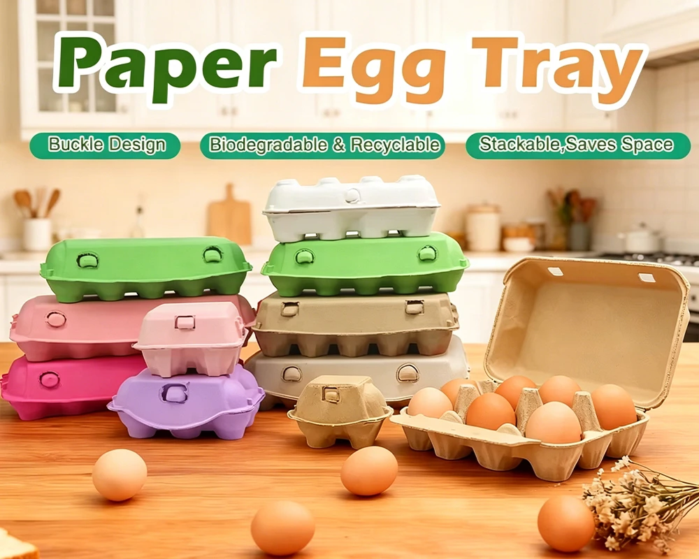 PAPER EGG TRAY AND BOX