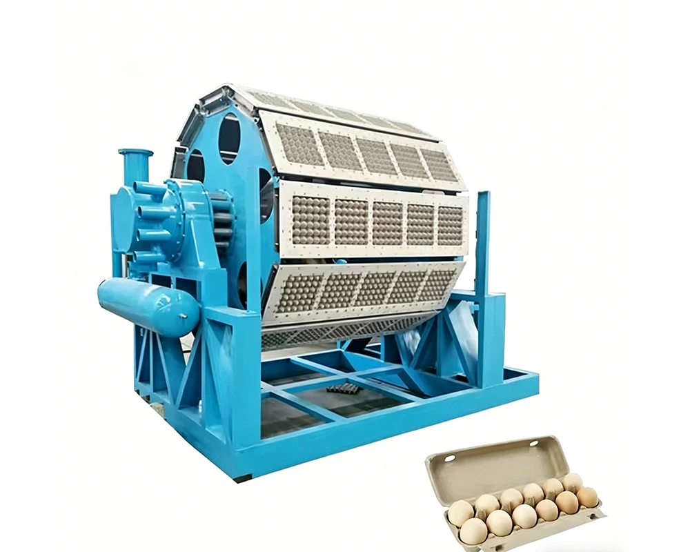 PAPER EGG TRAY AND BOX MACHINE